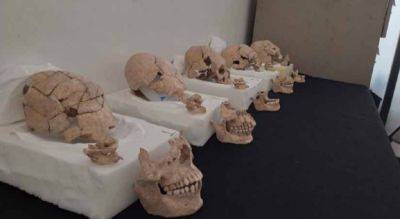 В Мексике нашли удлиненные черепа людей, которые были принесены в жертву древними майя - фото