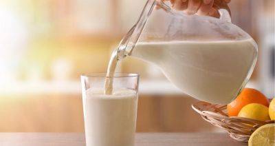 Китай станет третьей по величине страной-производителем молока в мире — Rabobank