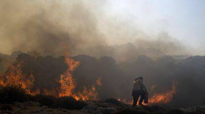 В Греции спасателям не удается обуздать масштабные лесные пожары