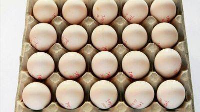 В Израиль к праздникам доставят яйца из Украины