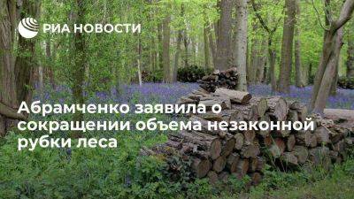 Абрамченко: объем незаконной рубки леса сократился в 2,5 раза за три года
