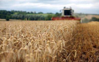 Восточные страны ЕС хотят продлить запрет на импорт украинского зерна