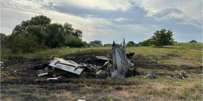 Авиакатастрофа в Житомирской области: следствие рассматривает три версии, столкновение самолетов произошло при совершении маневра разворота