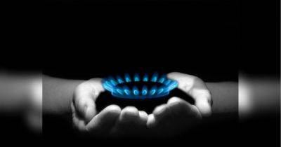 Действует мораторий: названа цена газа для населения Украины и производителей тепла