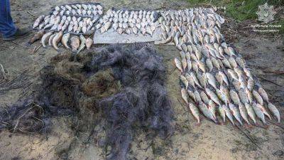 Наловили рыбы более чем на миллион гривен: специалисты Госэкоинспекции прекратили незаконную деятельность