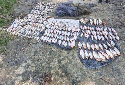 Специалисты Госэкоинспекции задержали браконьеров: Наловили рыбы более чем на миллион гривен