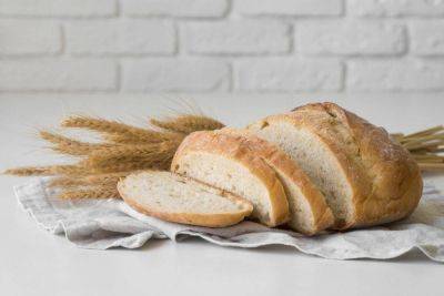Российские пекари рассказали, почему дорожает хлеб