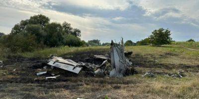 Следствие опросило более 30 человек по делу об авиакатастрофе в Житомирской области — ГБР