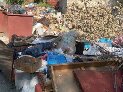 Оккупированный Луганск утопает в мусоре - фото