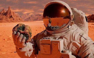 Профессор из Великобритании утверждает, что Марс колонизируют киборги