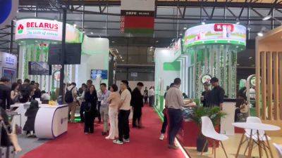 Предприятия готовятся к выставке импорта в Шанхае