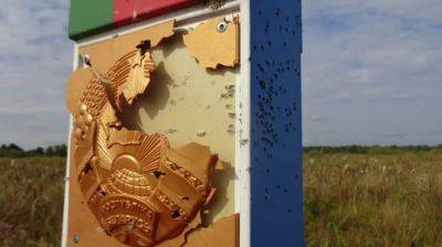 Из-за удара молнии на границе Украины с Беларусью сдетонировали мины