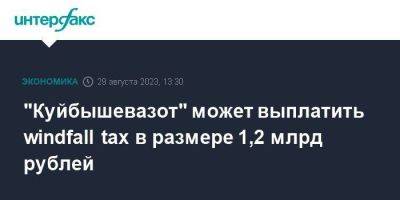 "Куйбышевазот" может выплатить windfall tax в размере 1,2 млрд рублей