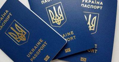 Кабмин упростил получение гражданства иностранцам, которые воюют за Украину