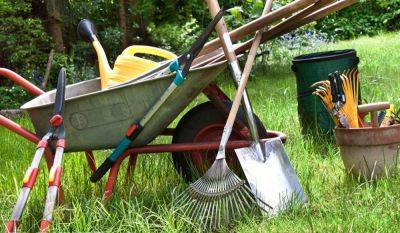 Пора сушить весла и готовиться к зиме: как очистить садовый инструмент от ржавчины