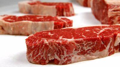 Дания решает проблемы потребления и производсва говядины