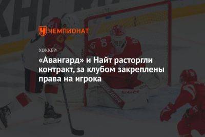 Кубок Гагарин - «Авангард» и Найт расторгли контракт, за клубом закреплены права на игрока - championat.com - Украина - Канада - Берн