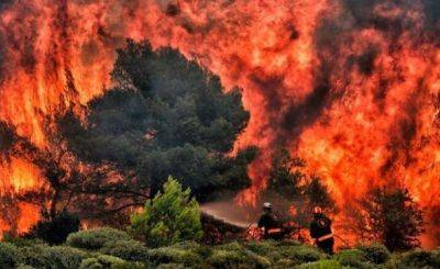 Пожар в Греции стал крупнейшим лесным пожаром в ЕС