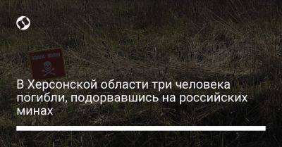 В Херсонской области три человека погибли, подорвавшись на российских минах