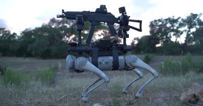 Армия испытывает боевых робо-псов, вооруженных винтовками и карабинами: зачем они нужны
