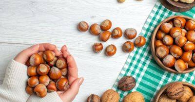 Орехи в рационе: какие полезные, как выбрать и сколько можно съесть — нутрициолог