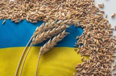 Мировые цены на пшеницу резко выросли после российской атаки на порт Измаила