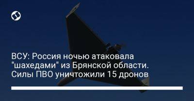 ВСУ: Россия ночью атаковала "шахедами" из Брянской области. Силы ПВО уничтожили 15 дронов