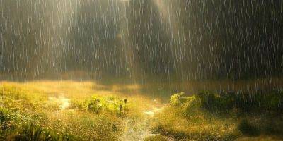 Непрерывные дожди. Синоптики предупредили, как часто осадки будут разбавлять августовскую жару