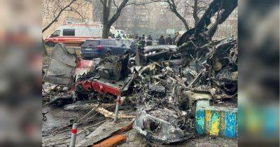 Авиакатастрофа в Броварах: кого подозревают в гибели руководства МВД