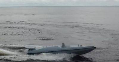 "Есть потенциал": Гуменюк раскрыла, смогут ли дроны Magura V5 уничтожить флот России (видео)