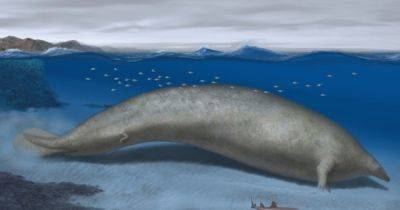 Найден скелет самого тяжелого животного в истории Земли: более 20 м в длину и весом до 340 тонн (фото)