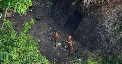 "Они из каменного века": исследователь умер, попытавшись подружиться с диким племенем (видео)