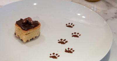 На Манхэттене откроется ресторан высокой кухни с блюдами со вкусом кошачьего корма