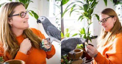 "Они счастливы": британка потратила часть приза с лотереи на роскошный дом для попугаев (фото)