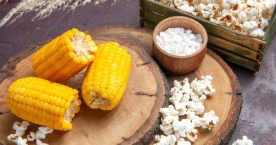 Кукуруза поможет похудеть: 9 полезных свойств для снижения веса - focus.ua - Украина