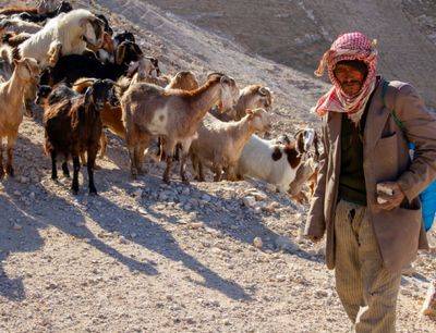 Закон против многоженства вызвал протест в бедуинских семьях