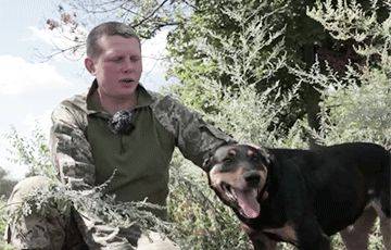 Невероятная история: как собака помогла бойцам ВСУ под Бахмутом