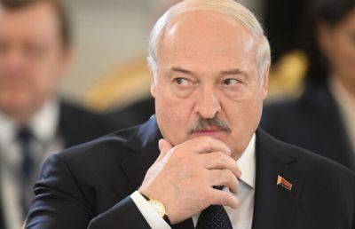 Это уже точно знак: Лукашенко приехал к комбайнерам в поле, где ему поставили чашку для покойников