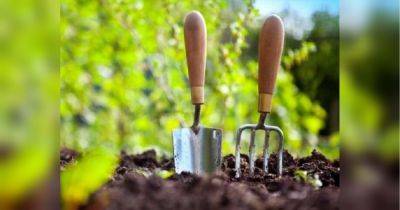 Посевной календарь на август-2023: в какие дни стоит больше поработать в огороде, а в какие лопату в руки лучше не брать