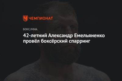 Александр Емельяненко - 42-летний Александр Емельяненко провёл боксёрский спарринг - championat.com