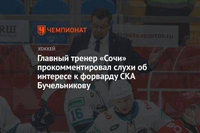 Главный тренер «Сочи» прокомментировал слухи об интересе к форварду СКА Бучельникову