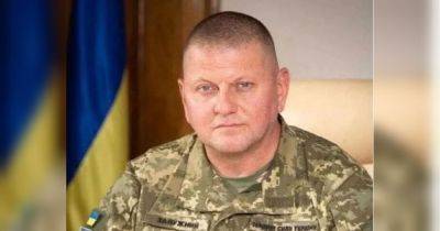 Ночная атака оккупантов: Залужный рассказал, сколько враждебных целей были сбиты украинской ПВО