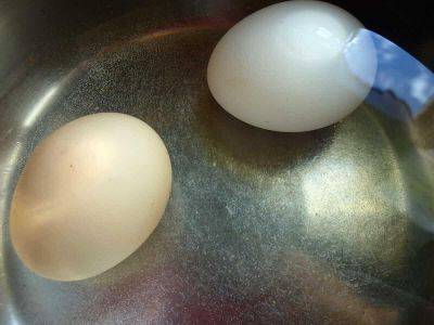 Из бабушкиных секретов: как варить яйца, чтобы они не треснули и быстро чистились