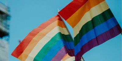 Грозит тюремное заключение. В Нигерии на свадьбе ЛГБТ пары полиция арестовала более 200 человек - nv.ua - Украина - Нигерия