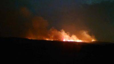 Лесной пожар в Геленджике расширился до 118 гектаров