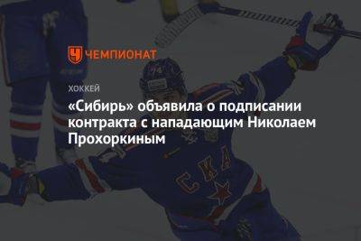 «Сибирь» объявила о подписании контракта с нападающим Николаем Прохоркиным
