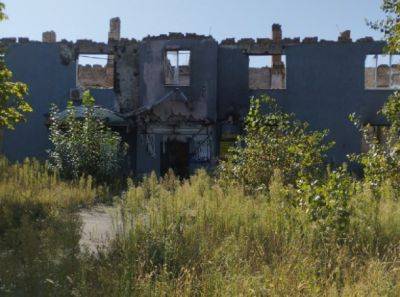 "Город зарос сорняками": В сети показали, как сейчас выглядит оккупированный Северодонецк - фото