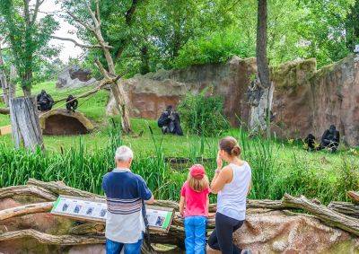 Дети смогут бесплатно посетить Пражский зоопарк 1 сентября