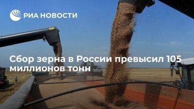 Валовый сбор зерна в России составил более 105 миллионов тонн