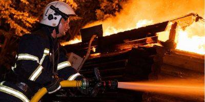 Помещение было охвачено огнем. В Хмельницком работники ГСЧС спасли шестерых щенков из горящего ресторана — видео